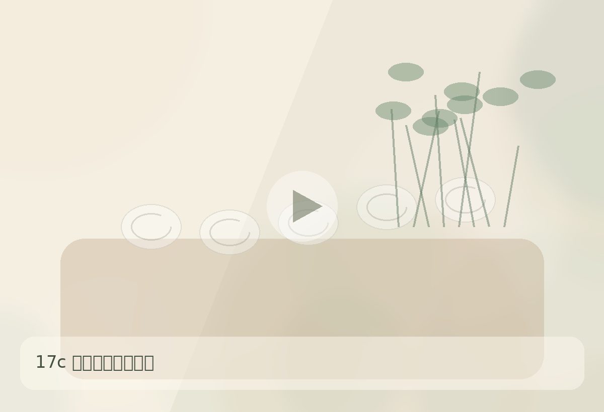 17c17c品牌相遇与合作咨询生活视频场景